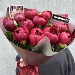 Пионы бордо 11 шт